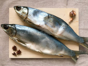 Сырные шарики 